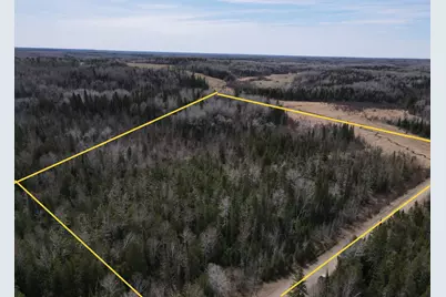 Tbd Co Rd 40, Effie, MN 56639 - Photo 1