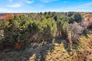 Lot 1 175th Ave SE, Becker, MN 55308 - Photo 37
