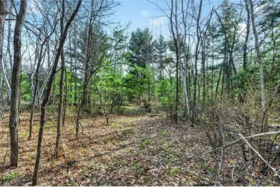 N7238 County Highway M, Springbrook, WI 54875 - Photo 29