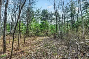 N7238 County Hwy M, Springbrook, WI 54875 - Photo 29
