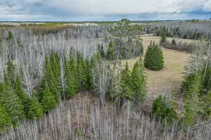 11448 Hwy 22, Angora, MN 55703 - Photo 23