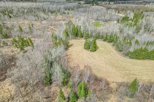 11448 Hwy 22, Angora, MN 55703 - Photo 25