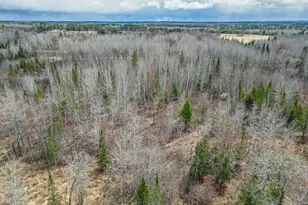 11448 Hwy 22, Angora, MN 55703 - Photo 29