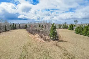 11448 Hwy 22, Angora, MN 55703 - Photo 21