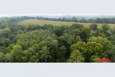 Tbd (Lot 3) Goat Back Road, Pepin, WI 54759 - Photo 1