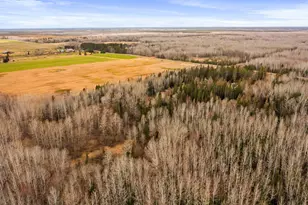 8852 Arkola Rd, Kelsey, MN 55724 - Photo 53