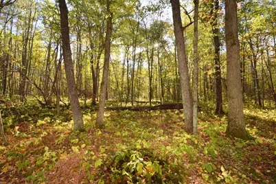 4899 County Road A, Webster, WI 54893 - Photo 47