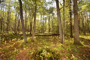 4899 Co Rd A, Webster, WI 54893 - Photo 47
