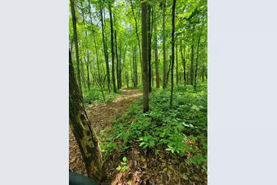 4899 County Road A, Webster, WI 54893 - Photo 55