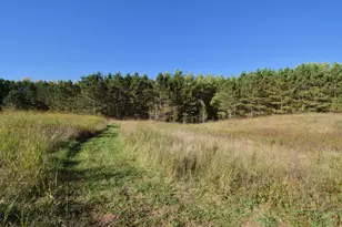 4899 Co Rd A, Webster, WI 54893 - Photo 41