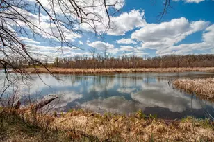 39511 460th Ave, Perham, MN 56573 - Photo 45