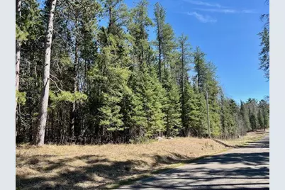 Tbd N Courage Dr, Lake George Township, MN 56458 - Photo 1