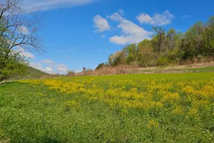 24020 Cty Rd 17, Winona, MN 55987 - Photo 119