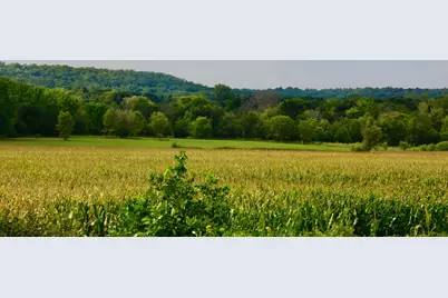 Tbd Highway 65, River Falls, WI 54022 - Photo 7