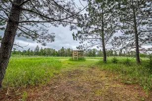 24058 County 2, Shevlin, MN 56676 - Photo 55