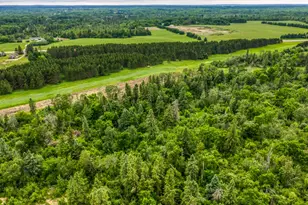 24058 County 2, Shevlin, MN 56676 - Photo 39