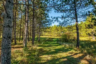 24058 County 2, Shevlin, MN 56676 - Photo 127