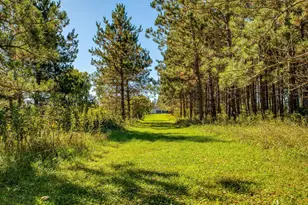 24058 County 2, Shevlin, MN 56676 - Photo 129