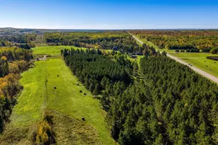 24058 County 2, Shevlin, MN 56676 - Photo 111