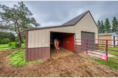 24058 County 2, Shevlin, MN 56676 - Photo 87