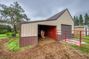 24058 County 2, Shevlin, MN 56676 - Photo 87