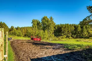 24058 County 2, Shevlin, MN 56676 - Photo 121