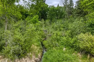 24058 County 2, Shevlin, MN 56676 - Photo 49