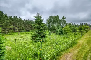 24058 County 2, Shevlin, MN 56676 - Photo 61