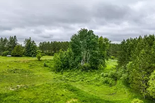 24058 County 2, Shevlin, MN 56676 - Photo 41