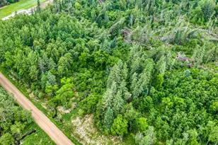 24058 County 2, Shevlin, MN 56676 - Photo 29