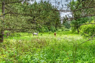 24058 County 2, Shevlin, MN 56676 - Photo 59