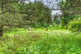 24058 County 2, Shevlin, MN 56676 - Photo 59