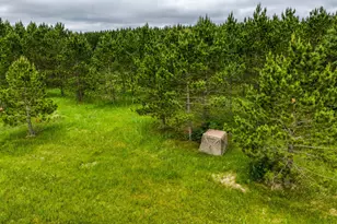 24058 County 2, Shevlin, MN 56676 - Photo 53
