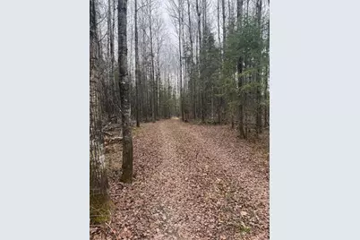 3426 Highway 53, Eveleth, MN 55734 - Photo 29