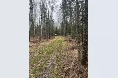 3426 Highway 53, Eveleth, MN 55734 - Photo 23