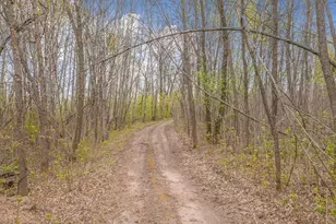 1850 Beauty Point Rd SW, Farwell, MN 56327 - Photo 85