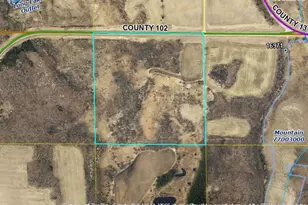Tbd County 102, Grey Eagle, MN 56336 - Photo 1