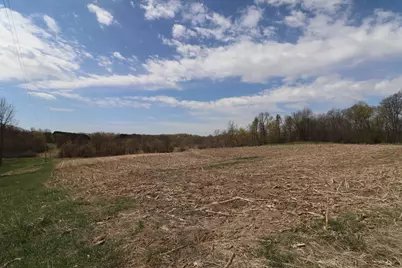 Tbd County 102, Grey Eagle, MN 56336 - Photo 5