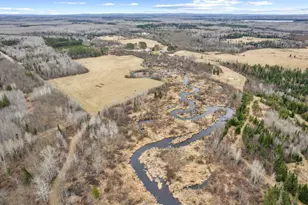 47529 Day Brook River Rd, Nashwauk, MN 55769 - Photo 61