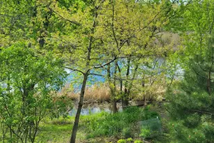 11516 172nd St W, Lakeville, MN 55044 - Photo 29