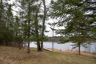 6265 S Thunder Lake Dr NE, Remer, MN 56672 - Photo 41