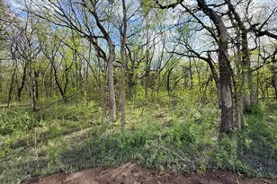 8816 147th Ave NW 147th Ave NW, Ramsey, MN 55303 - Photo 9