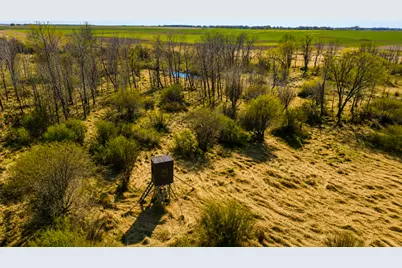 Tbd State Hwy 108, Ottertail, MN 56571 - Photo 7