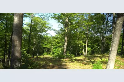83Xxx - Lot 12 Ashwabay Road, Bayfield, WI 54814 - Photo 9