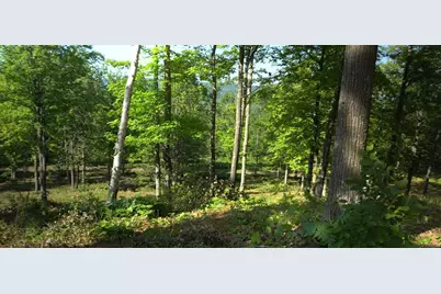 83Xxx - Lot 12 Ashwabay Road, Bayfield, WI 54814 - Photo 7