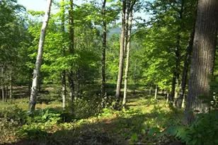 83Xxx - Lot 12 Ashwabay Rd, Bayfield, WI 54814 - Photo 7