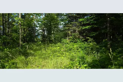 83Xxx - Lot 12 Ashwabay Road, Bayfield, WI 54814 - Photo 3