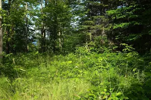 83Xxx - Lot 12 Ashwabay Rd, Bayfield, WI 54814 - Photo 3