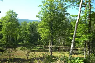 83Xxx - Lot 12 Ashwabay Rd, Bayfield, WI 54814 - Photo 1