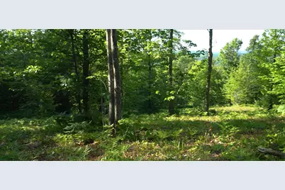 83Xxx - Lot 13 Ashwabay Road, Bayfield, WI 54814 - Photo 9
